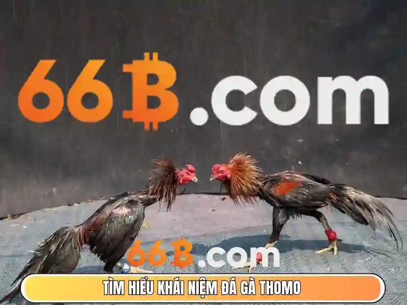66b: một mô hình ngôn ngữ lớn và phức tạp