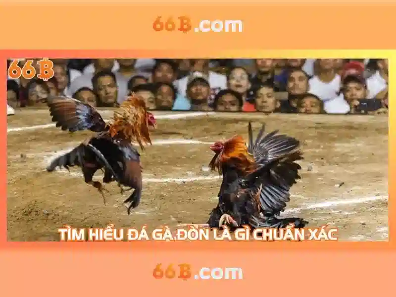 66b: Một mô hình ngôn ngữ quy mô lớn