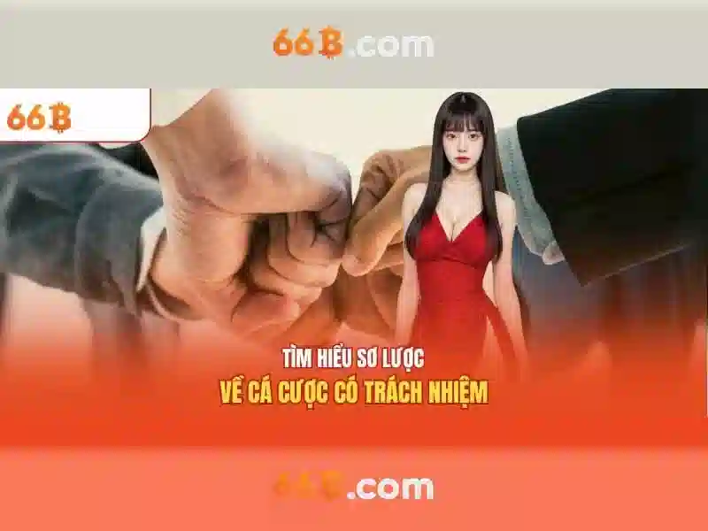 66b: khái niệm, ảnh hưởng và tương lai
