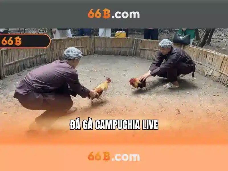 https://mlife.id/images/text/66b/66b-text260305356.webp