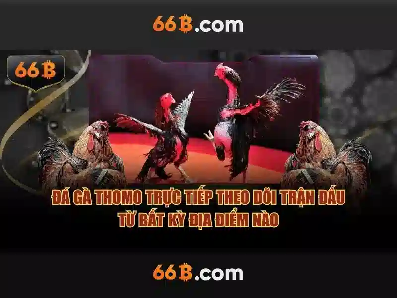https://mlife.id/images/text/66b/66b-text260305369.webp