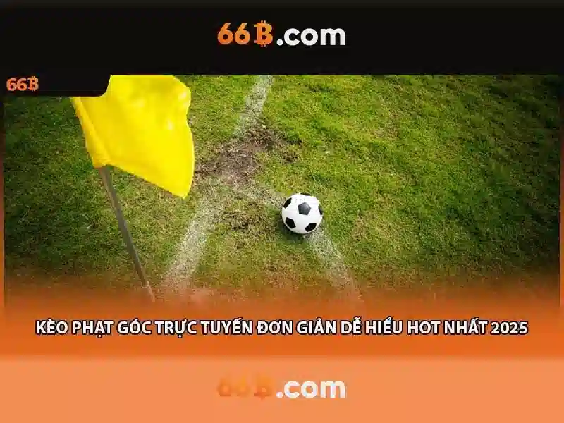 66B: Tổng quan về mô hình 66B