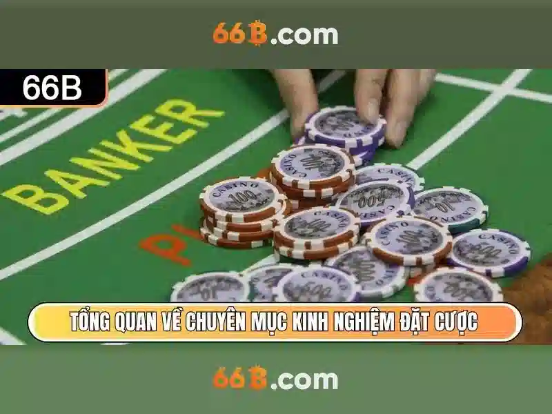 https://mlife.id/images/text/66b/66b-text260330395.webp