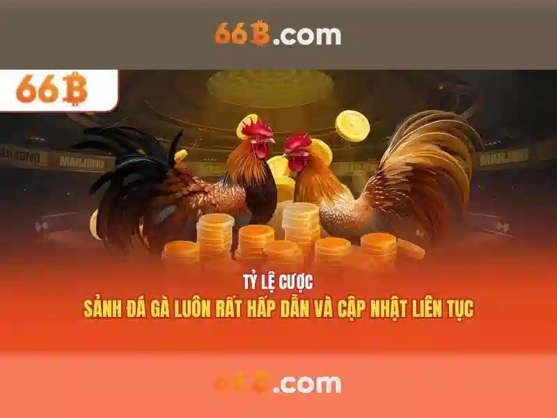 66B: Mô hình ngôn ngữ quy mô 66 tỷ tham vọng