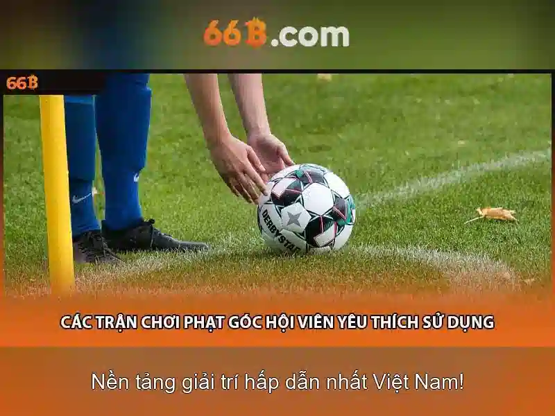 66b: Mô hình ngôn ngữ lớn và những ứng dụng tiềm năng