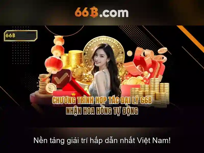 66b là gì? Tổng quan ngắn gọn