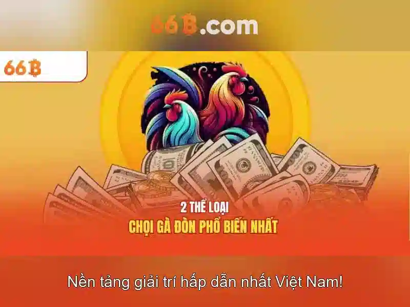66b là gì? - Khái niệm và ứng dụng