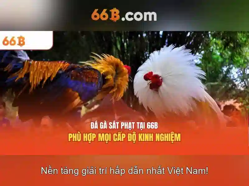 https://mlife.id/images/text/66b/66b-text260331467.webp