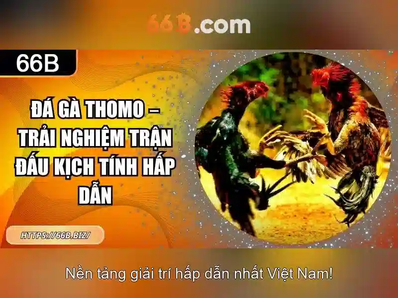 https://mlife.id/images/text/66b/66b-text260331469.webp
