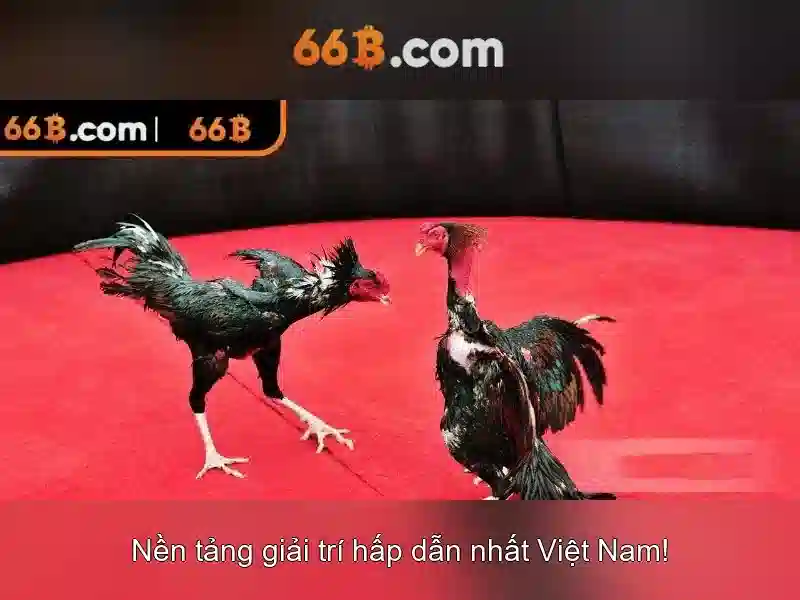 bao-mat-66b