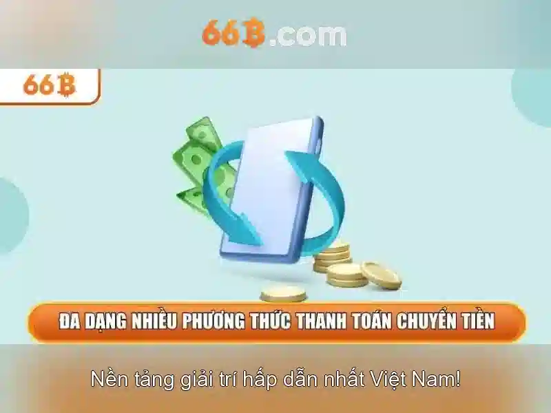 66B: Định nghĩa, cơ hội và thách thức