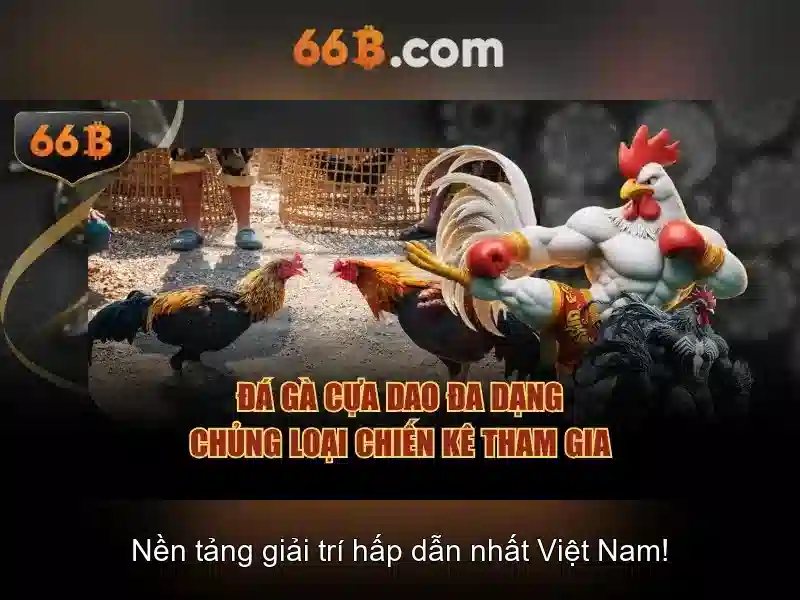 Khuyen-mai-va-dieu-kien