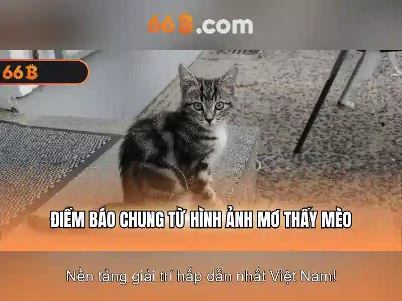 https://mlife.id/images/text/66b/66b-text260331687.webp