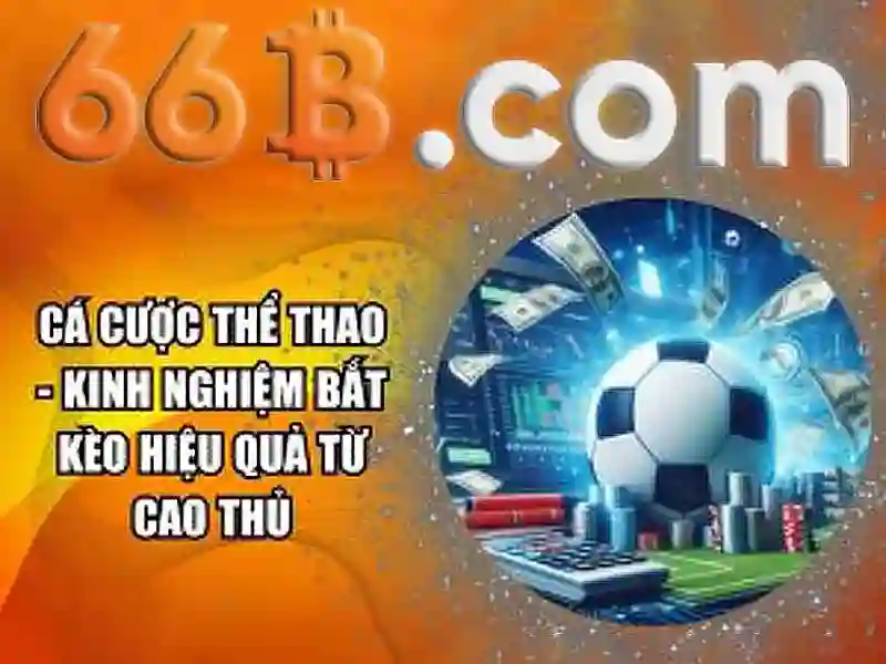 66b: một khái niệm và ứng dụng trong công nghệ số