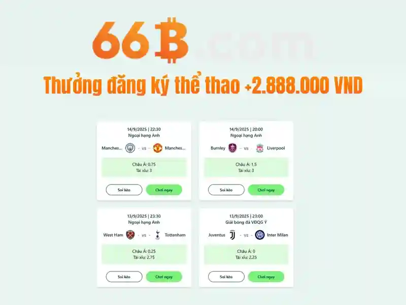 66b: một cái nhìn tổng quan về mô hình ngôn ngữ quy mô lớn
